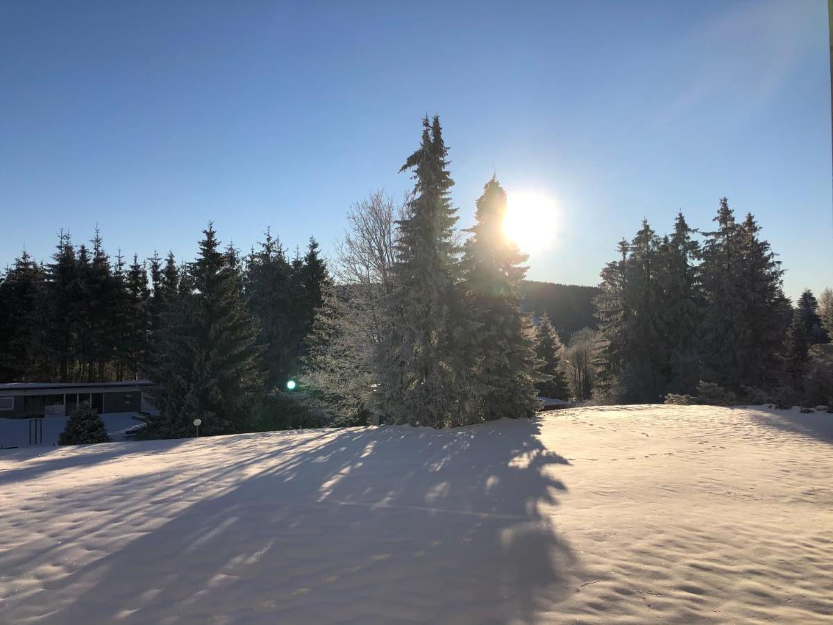 Bocksbergglueck In Hahnenklee, Endreinigung, Bezogene Betten, Handtuecher Inklusive Goslar Eksteriør bilde