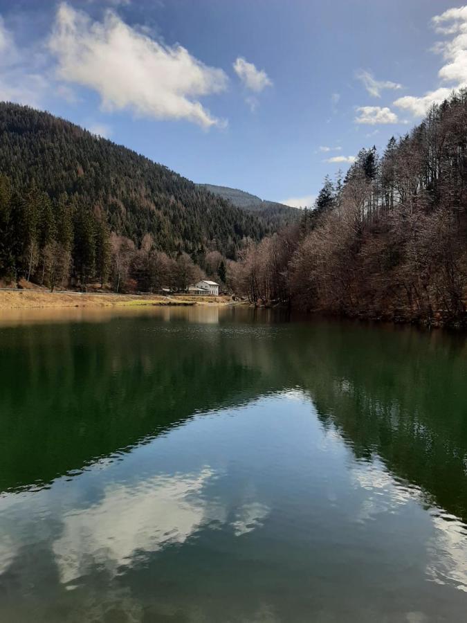 Bocksbergglueck In Hahnenklee, Endreinigung, Bezogene Betten, Handtuecher Inklusive Goslar Eksteriør bilde